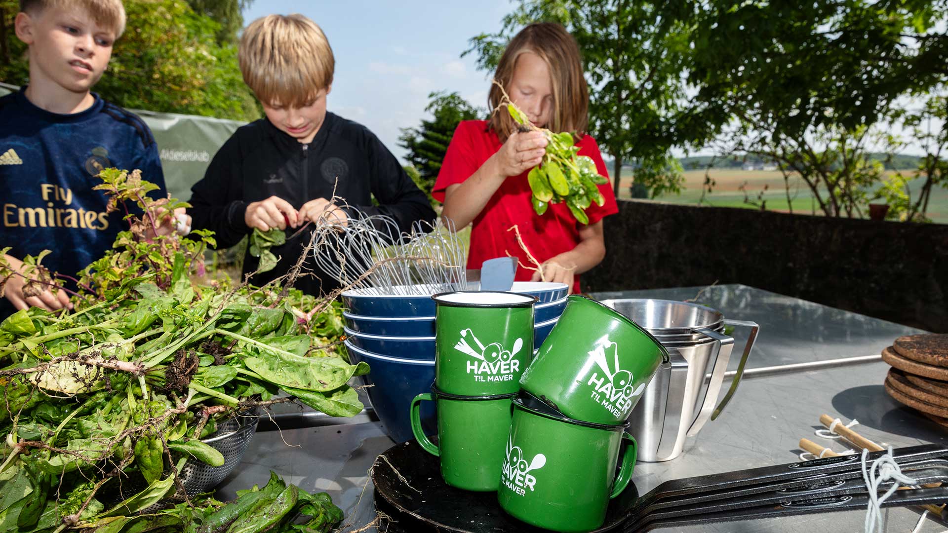 liljeborg-haver_til_maver_16x9_03