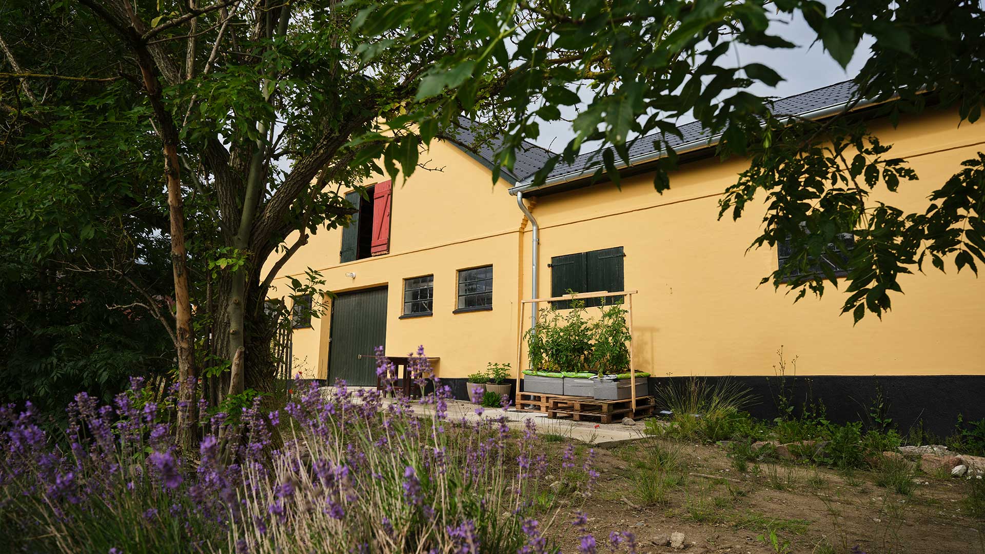 liljeborg-haver_til_maver_16x9_04