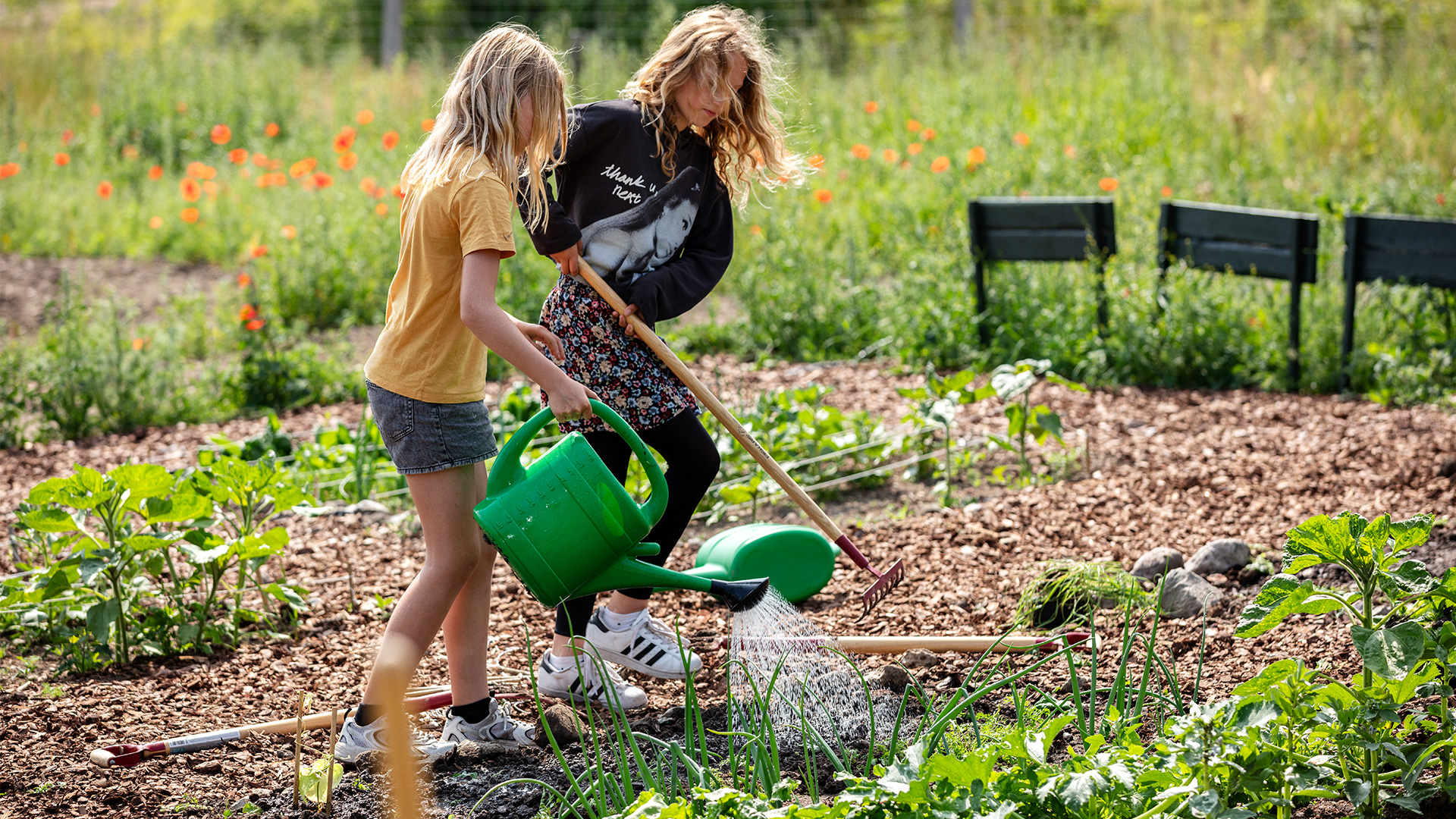 liljeborg-haver_til_maver_16x9_03