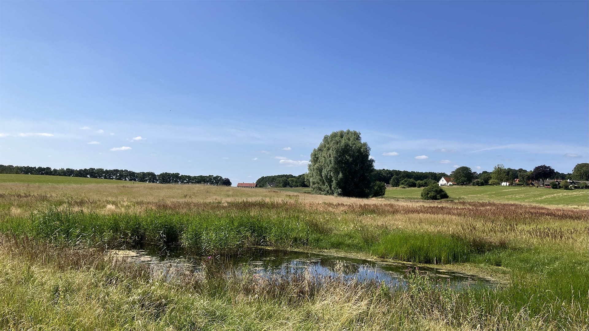 liljeborg-veddelev_fjordenge_16x9_11